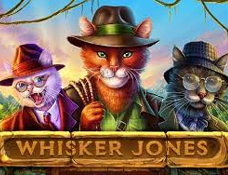 Whisker Jones