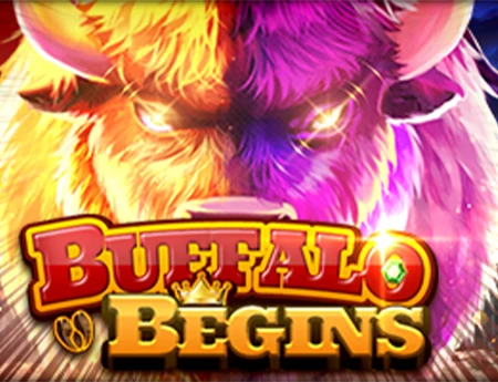 Buffalo Begins